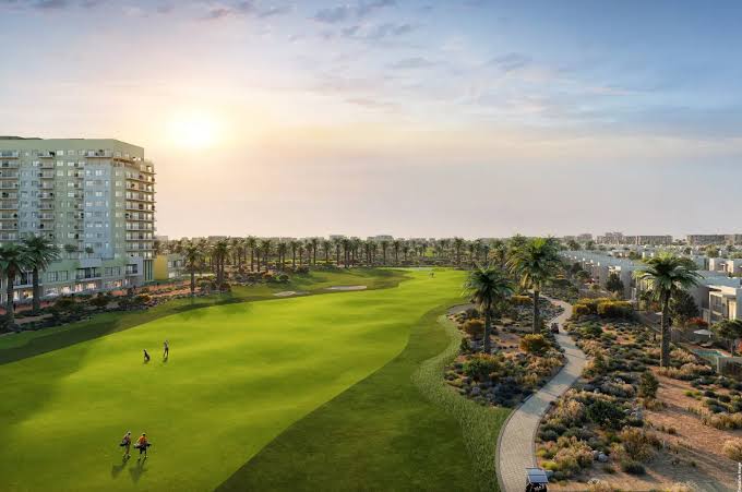 Amenities Overview